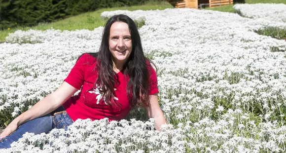 Grösstes Edelweiss-Blütenmeer der Welt: Sennhütte in St. Anton am Arlberg will einen Guinness World Records™ Titel brechen